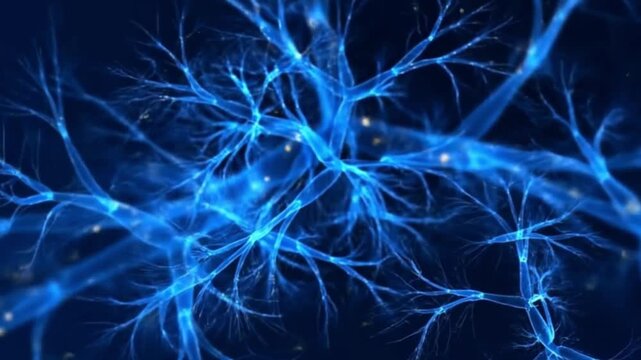 neural network