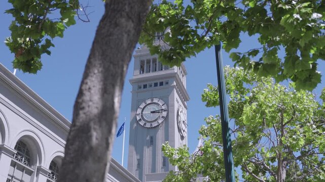19th Century San Francisco Ferry Building Clock Tower With Trees In Foreground - Steady Cam Backwards shot