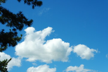 토끼 구름, Rabbit Cloud © Taeksoo