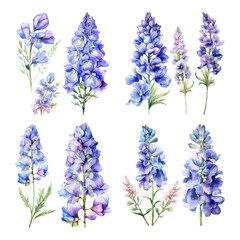 Obraz premium Hand-painted Watercolor Blue Delphinium Flower Collection for Botanical Illustrations and Floral Design