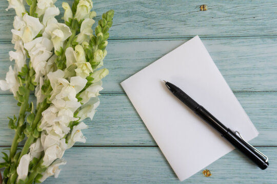 White snapdragons rest beside a blank notepad and pen. Light green wood backdrop adds calm, clean aesthetic. Black pen suggests readiness to write or journal. Still life evokes quiet