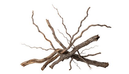 Fototapeta premium Rustic Bundle of Weathered Woodland Branches Isolated on Transparent Background with Natural Forked Twigs