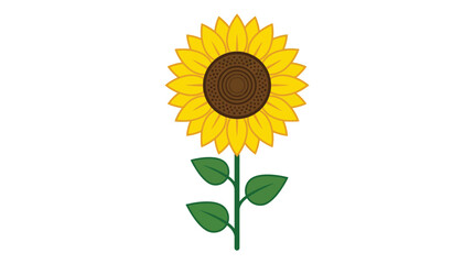 Obraz premium A vibrant yellow sunflower illustration with brown center and green leaves in a flat style