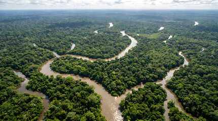 Naklejka premium Remote Sensing imagery of winding tropical rainforest river systems captured from a high altitude aerial view during a bright sunny day