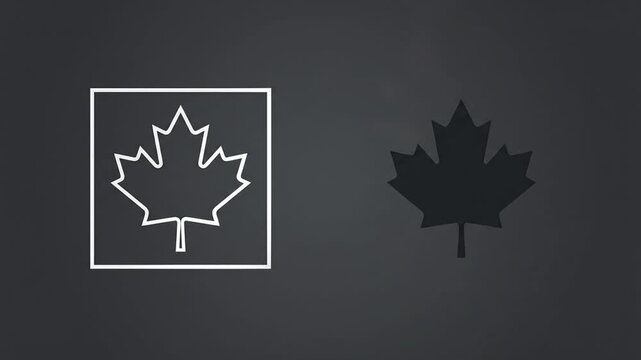 Minimalist Canadian maple leaf icons with white outline and dark silhouette.