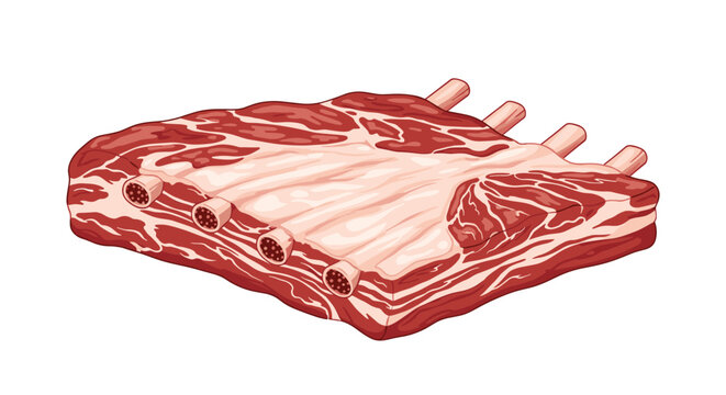 Large fresh raw rack of ribs with visible bones and marbled red meat, perfect for barbecue, isolated on white.
