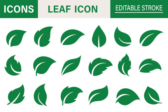 Leaf sprout icon vector set, green leaves plant eco logo symbol simple graphic illustration set, vegan fresh herb pictogram shape sign, organic natural healthy logotype eps 10