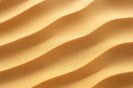 golden sand ripples on wind‑sculpted dunes under warm light, soft undulating waves evoking calm and serenity