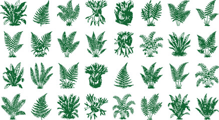 Assortment of green fern plant illustrations in a grid against a white background for design elements © Mahi Fattah