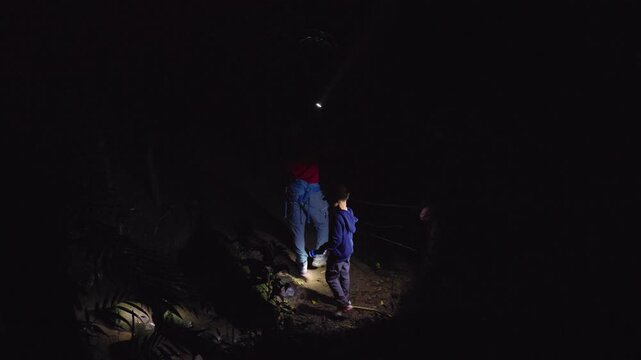 Group of people observe nocturnal inhabitants in jungle during nighttime expedition. Explorers use bright flashlights to illuminate dense tropical vegetation and search for wildlife on forest trail.