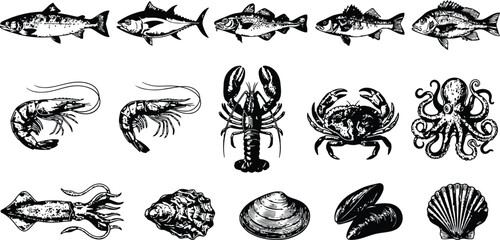 Hand drawn seafood collection with fish shrimp lobster crab octopus squid oyster mussel and scallop in monochrome sketch style © Mahi Fattah