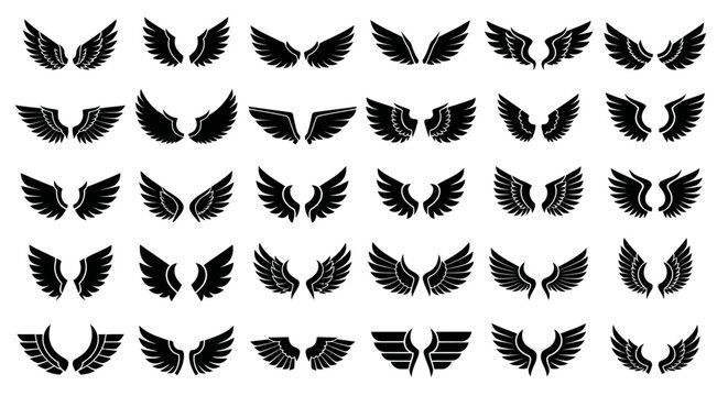Black wings are flying in the air with various poses and angles shown