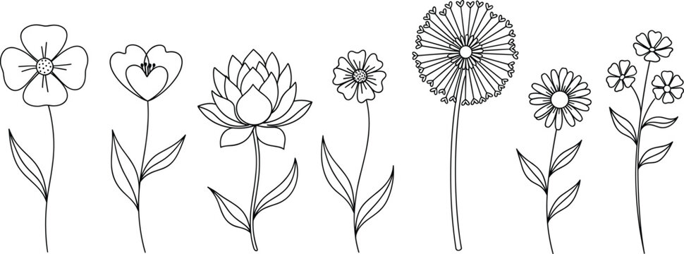 Minimal hand-drawn flower line art set with daisy lotus dandelion wildflower botanical illustrations for tattoo boho and decorative designs