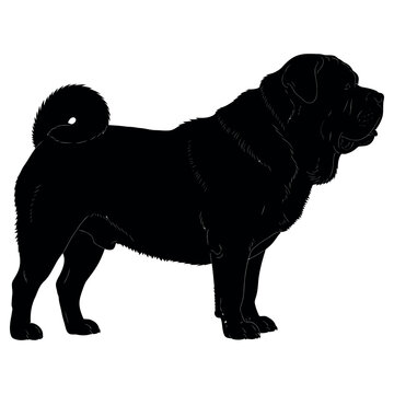 Detailed side profile silhouette of a powerful shar pei dog standing tall in a classic stance capturing the iconic muscular physical structure and distinctive curled tail of this noble breed