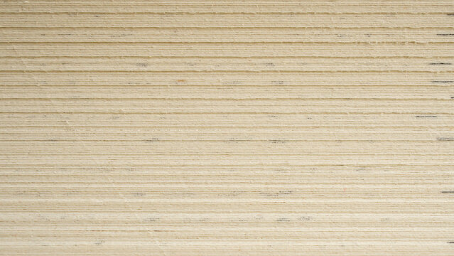 side view of Book page close up texture background