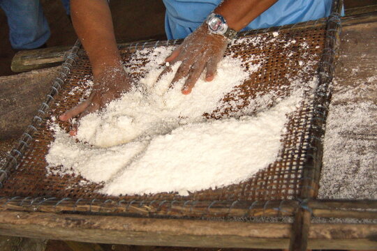 Hands of a Siona woman making yucca flour in the Cuyabeno Wildlife Reserve, outside of Lago Agrio, Ecuador
