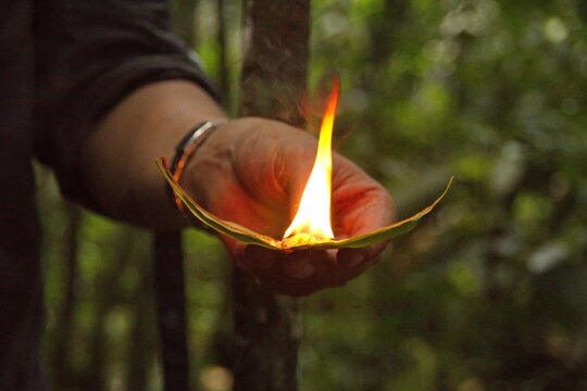 Burning tree sap in the Cuyabeno Wildlife Reserve, outside of Lago Agrio, Ecuador