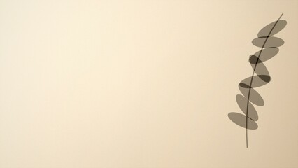 Minimalist eucalyptus branch illustration on beige background © Janoko