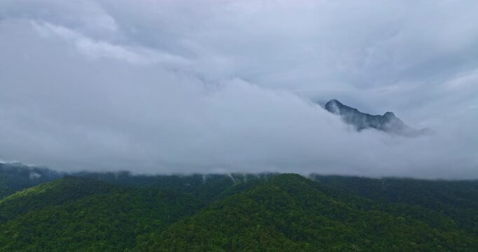 Aerial view of Chiang Dao Mountain reveals peaks wrapped in flowing white clouds. Mist drifts over lush green forests, creating a serene and mystical atmosphere beneath an overcast sky.