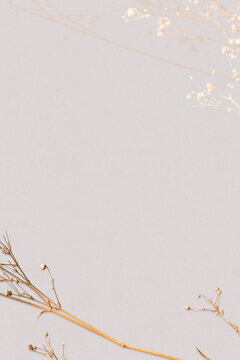 Botanical earth tone wallpaper and background