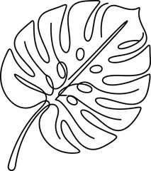 Minimalist continuous line art drawing of a single tropical monstera leaf. © Elvfact22