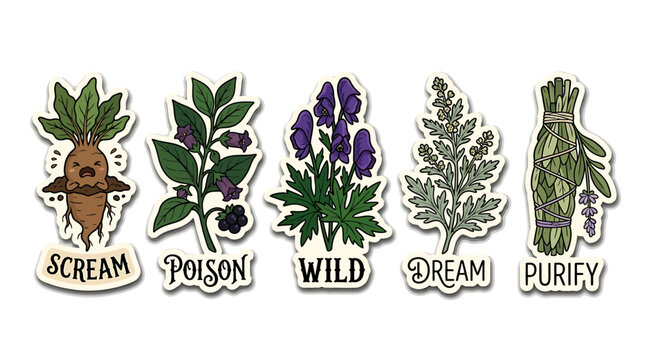 Magical Botanicals Collection: A whimsical collection of five illustrated magical plants, each labeled with a single word: Scream, Poison, Wild, Dream, and Purify.