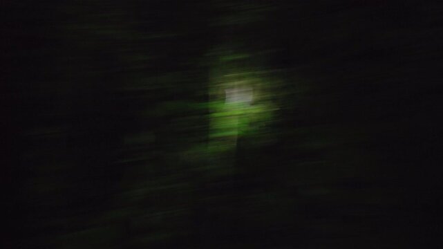 Group of people exploring dense tropical jungle at night observing nocturnal creatures with flashlights. Bright beams illuminate lush green foliage and tangled vines in the darkness.