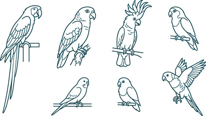 Hand Drawn Parrot Outline Collection Featuring Macaw Cockatoo Lovebird Budgerigar and Flying Parakeet Wildlife Vector Illustration Set © MstSuborna