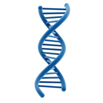 Blue dna strand symbol representing genetic structure isolated on transparent background