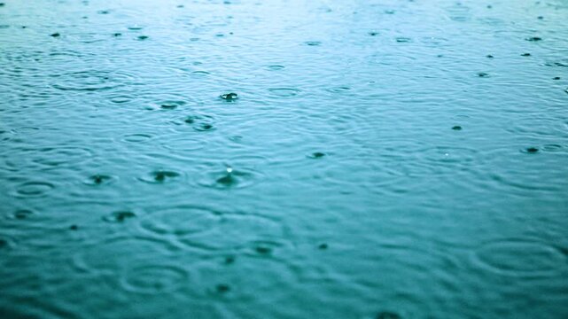 Rain falling on water creates expanding circular ripples across turquoise surface in slow motion. Raindrops splash and form concentric circles spreading outward in calming natural pattern during.