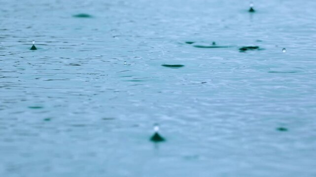 Close-up slow motion footage captures raindrops falling onto a calm turquoise water surface, creating delicate ripples and splashing water crowns with soft diffused daylight illuminating the scene.