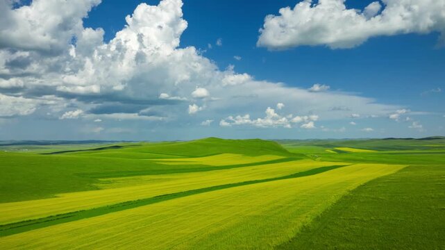 Timelapse of hilly countryside with vibrant agricultural fields in summer