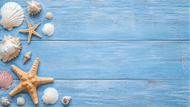Seashells arranged on blue wooden surface with space