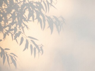 Obraz premium Eucalyptus Leaf Shadow Pattern on White Wall with Soft Natural Light