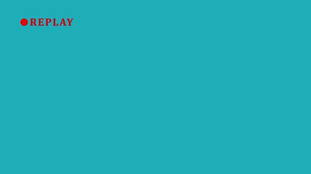 Video camera replay screen animation on a white screen background in HD. Ideal for video editing, cinematic overlays, Vertical VHS Replay Overlay on Alpha channel. 4K Video animation