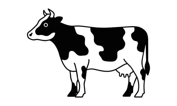 Simple dairy cow in profile view with black and white patches and clean monoline outlines isolated on white background agricultural farm animal concept