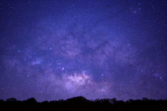 Silhouette of tree at Phuhinrongkla national park and night sky space background, Starry universe in dark blue sky, Milky way galaxy with stardust field in deep universe
