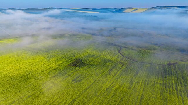 Aerial view of yellow cultivated fields with morning mist and distant hills