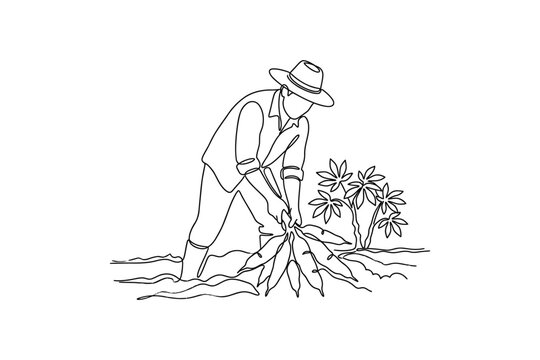 A continuous line drawing of a farmer harvesting cassava roots from the soil.
