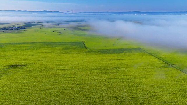 Aerial view of yellow cultivated fields with morning mist and distant hills