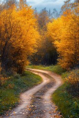 Fototapeta premium Winding dirt road through a tunnel of golden autumn foliage, a serene and inviting forest path under a soft overcast sky