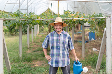 Obraz premium Smiling farmer holding watering can vineyard greenhouse standing among healthy grape vines promoting sustainable agriculture crop care organic farming confidence