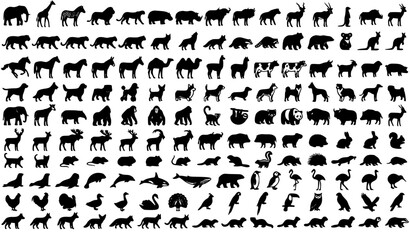 Animal Vector Silhouette Collection with Dogs Horses Elephants Camels and Rhinos © MstMomena