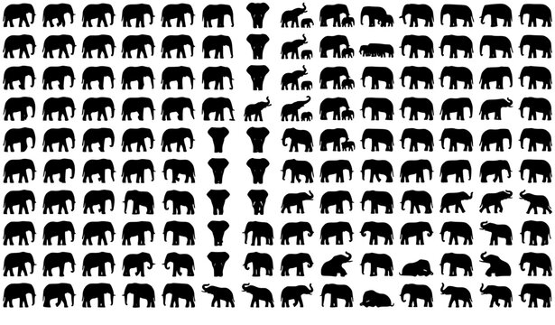 Elephant Silhouette Vector Set with Wildlife Safari and Nature Animal Icons