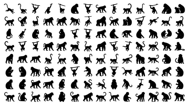 Monkey Vector Silhouette Collection with Primate Wildlife Animal Graphics