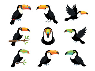 Naklejka premium A collection of nine colorful toucan birds in various poses and actions.