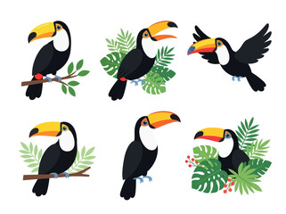 Naklejka premium A collection of six colorful toucan bird illustrations in various poses and settings.