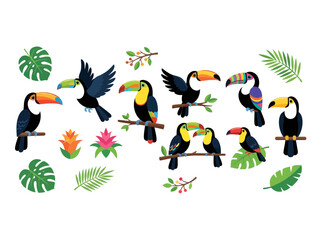 Naklejka premium A collection of colorful toucan birds and tropical jungle foliage elements.