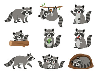 Obraz premium A collection of cute cartoon raccoons in various poses and activities.