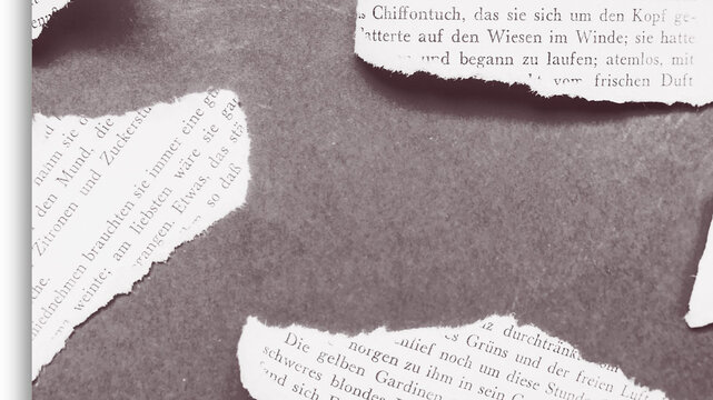 monochromatic composition of torn paper fragments scattered across a textured, dark gray surface.